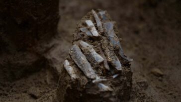 La boîte à outils vieille de 30 000 ans montre ce que l'ancien chasseur a porté dans une pochette