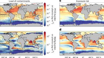 La carte mondiale montre où les plastiques océaniques représentent les plus grandes menaces