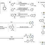 La commutation atomique convertit les indoles en benzimidazoles dans un pot, accélérant la découverte de médicaments La commutation atomique convertit les indoles en benzimidazoles dans un pot, accélérant la découverte de médicaments