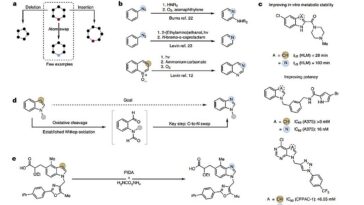La commutation atomique convertit les indoles en benzimidazoles dans un pot, accélérant la découverte de médicaments