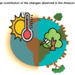 La déforestation réduit les précipitations de 74% et augmente les températures de 16% en Amazonie pendant la saison sèche, dit l'étude