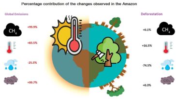 La déforestation réduit les précipitations de 74% et augmente les températures de 16% en Amazonie pendant la saison sèche, dit l'étude
