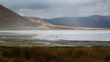 La densité de l'eau est essentielle à l'extraction durable au lithium, révèle l'étude