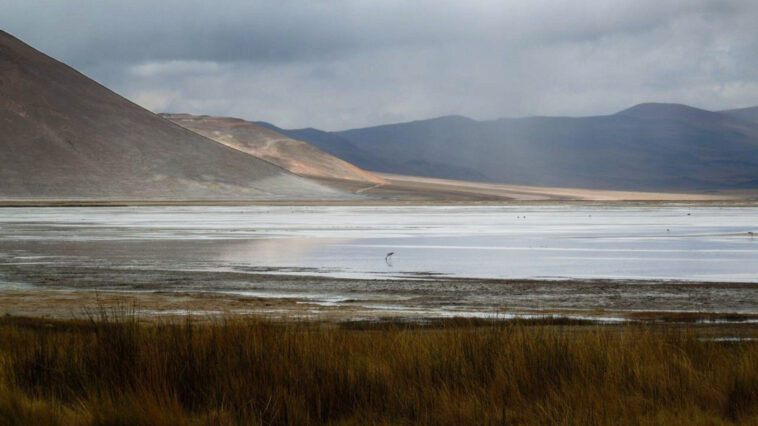 La densité de l'eau est essentielle à l'extraction durable au lithium, révèle l'étude