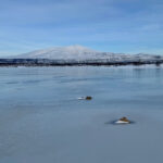 La glace se dissout plus vite que l'eau liquide, offrant une explication aux rivières rouillées de l'Arctique