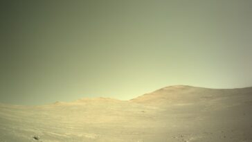 La persévérance rencontre la mégabreccia