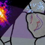 La première imagerie en temps réel 3D de l'effet de l'hydrogène sur les défauts en acier inoxydable ouvre la voie à une économie d'hydrogène plus sûre La première imagerie en temps réel 3D de l'effet de l'hydrogène sur les défauts en acier inoxydable ouvre la voie à une économie d'hydrogène plus sûre