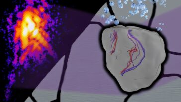 La première imagerie en temps réel 3D de l'effet de l'hydrogène sur les défauts en acier inoxydable ouvre la voie à une économie d'hydrogène plus sûre