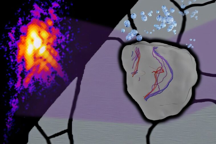La première imagerie en temps réel 3D de l'effet de l'hydrogène sur les défauts en acier inoxydable ouvre la voie à une économie d'hydrogène plus sûre