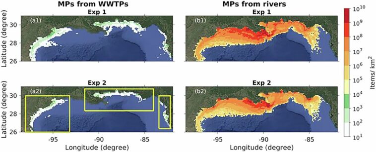 La recherche révèle comment les microplastiques menacent la vie marine du golfe du Mexique