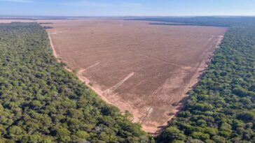 An aerial view of illegal deforestation in the Amazon in Mato Grosso state, Brazil