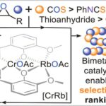 La règle prédictive révèle quels éléments constitutifs à base de soufre créent des plastiques durables et dégradables La règle prédictive révèle quels éléments constitutifs à base de soufre créent des plastiques durables et dégradables