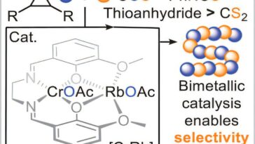 La règle prédictive révèle quels éléments constitutifs à base de soufre créent des plastiques durables et dégradables