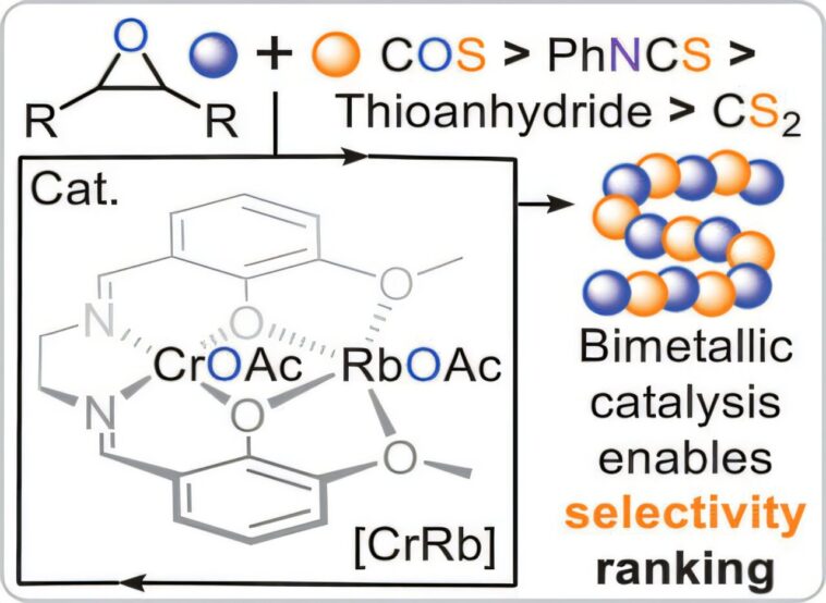 La règle prédictive révèle quels éléments constitutifs à base de soufre créent des plastiques durables et dégradables La règle prédictive révèle quels éléments constitutifs à base de soufre créent des plastiques durables et dégradables
