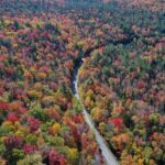 La sécheresse saisissant le nord-est, NYC soulève les craintes des incendies de forêt d'automne