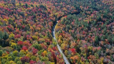 La sécheresse saisissant le nord-est, NYC soulève les craintes des incendies de forêt d'automne