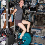 La vie après la microgravité: les astronautes réfléchissent à la récupération post-vol