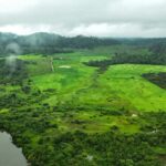 La zone perdue du Brésil a perdu la taille de l'Espagne dans 40 ans: étude