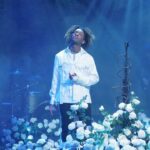 Le Runaway manquant, le chanteur viral et le tronc de Tesla dans la saga D4VD