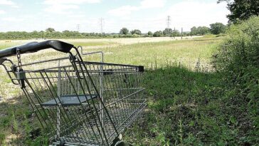 Le bilan environnemental de l'abandon d'un chariot de magasinage