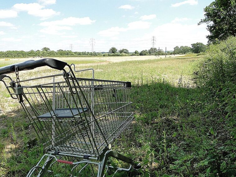 Le bilan environnemental de l'abandon d'un chariot de magasinage Le bilan environnemental de l'abandon d'un chariot de magasinage