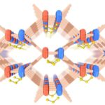 Le cadre organique radicalaire poreux améliore les batteries au lithium-sulfure