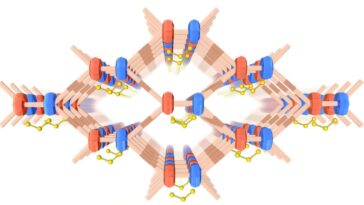 Le cadre organique radicalaire poreux améliore les batteries au lithium-sulfure
