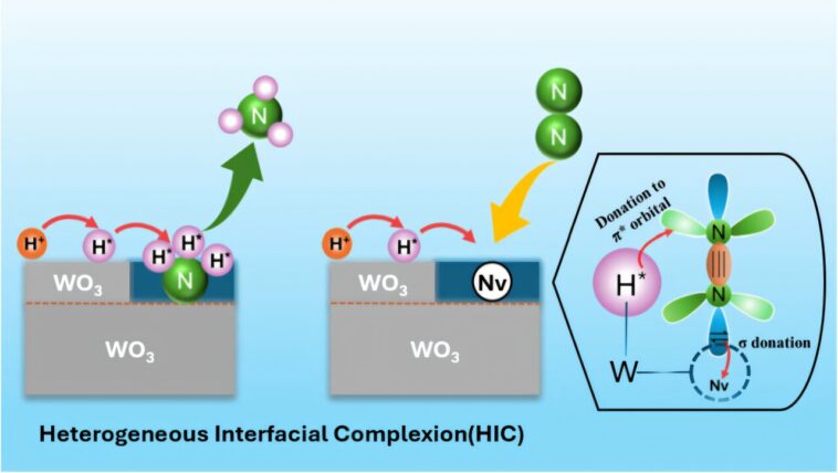 Le catalyseur assisté par plasma permet une synthèse d'ammoniac plus efficace pour le stockage d'énergie Le catalyseur assisté par plasma permet une synthèse d'ammoniac plus efficace pour le stockage d'énergie
