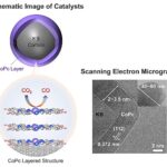 Le catalyseur de cobalt en couches réinvente le pigment comme voie de recyclage de co₂