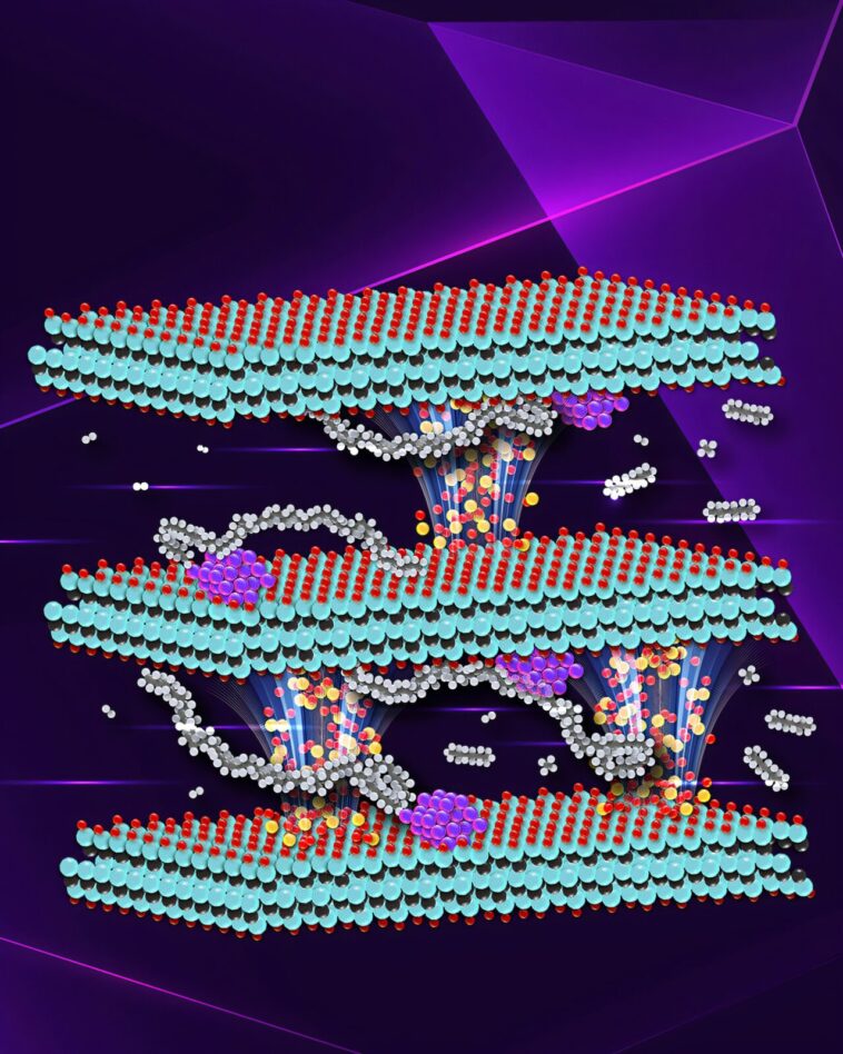 Le catalyseur du ruthénium soutenu par MXENE accélère le recyclage des plastiques