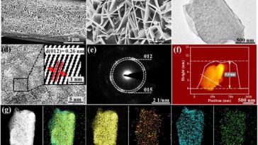 Le catalyseur économe en énergie convertit les polluants de l'eau en ammoniac utile
