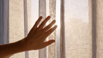 Le cerveau conserve des cartes de mains manquantes pendant des années