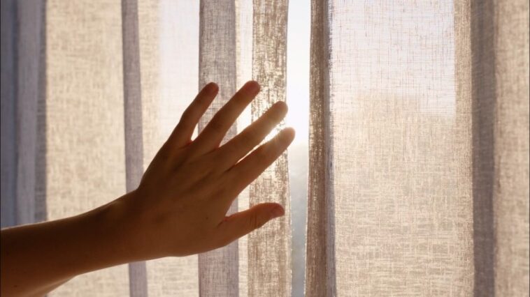 Le cerveau conserve des cartes de mains manquantes pendant des années