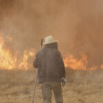 Le changement climatique a fait la chaleur et la sécheresse qui ont alimenté les incendies de forêt ibériens 40 fois plus susceptibles, les découvertes de l'étude