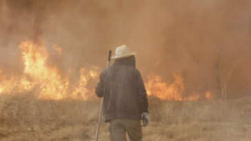 Le changement climatique a fait la chaleur et la sécheresse qui ont alimenté les incendies de forêt ibériens 40 fois plus susceptibles, les découvertes de l'étude