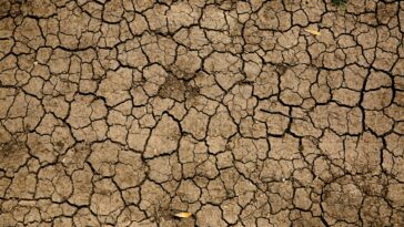 Le changement climatique dangereux menace les grands rêves du «bol de nourriture» du nord de l'Australie