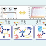 Le changement: la stratégie de survie secrète à la vie telle que révélée par les mathématiques