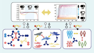 Le changement: la stratégie de survie secrète à la vie telle que révélée par les mathématiques