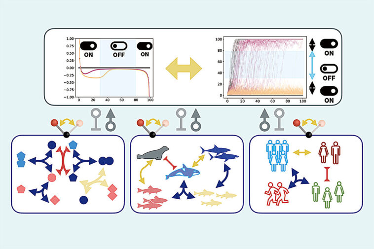 Le changement: la stratégie de survie secrète à la vie telle que révélée par les mathématiques