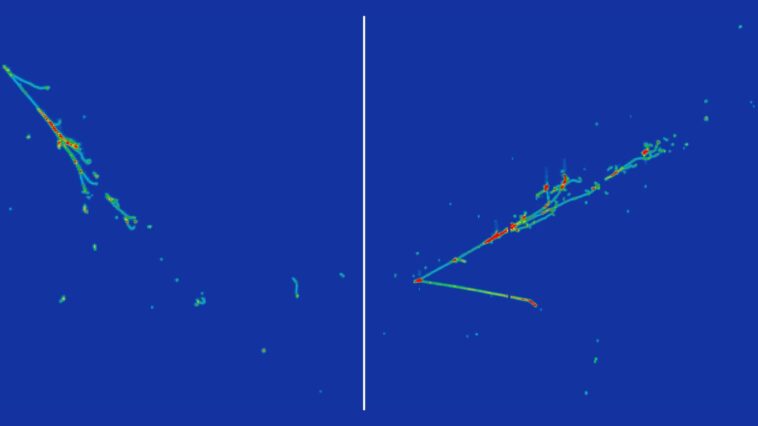 Le détecteur de microboone exclut la cause des neutrino électronique de l'anomalie miniboone Le détecteur de microboone exclut la cause des neutrino électronique de l'anomalie miniboone