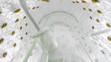 Le détecteur le plus sensible au monde resserre le filet sur une matière noire insaisissable