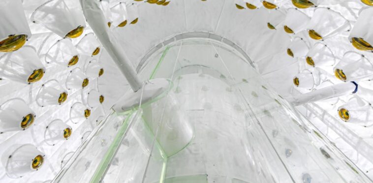 Le détecteur le plus sensible au monde resserre le filet sur une matière noire insaisissable