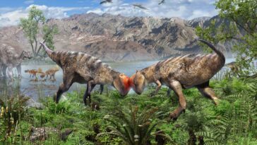 Le dinosaure à tête de dôme de Mongolie est le plus ancien jamais trouvé