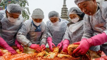 Participants prepare kimchi, a traditional Korean dish of spicy fermented cabbage and radish, during a kimchi making festival held amid snowfall at the Jogyesa Temple in Seoul on November 27, 2024. (Photo by ANTHONY WALLACE / AFP) (Photo by ANTHONY WALLACE/AFP via Getty Images)