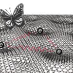 Le papillon Hofstadter: le graphène de bicouche torsadé révèle deux phases topologiques distinctes en interaction fortement