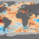 Le puits en carbone océan est en difficulté: 10% de baisse de l'absorption du CO₂ observée pendant les vagues de chaleur marines records 2023