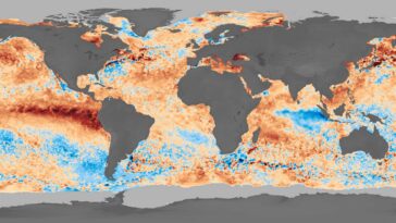 Le puits en carbone océan est en difficulté: 10% de baisse de l'absorption du CO₂ observée pendant les vagues de chaleur marines records 2023