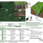 Le ruissellement des sols des forêts enregistrées libère plus de carbone réactif, sapant les efforts d'atténuation du climat