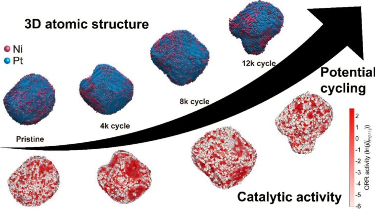 Le «scan CT» atomique révèle comment le gallium augmente la durabilité du catalyseur des piles à combustible