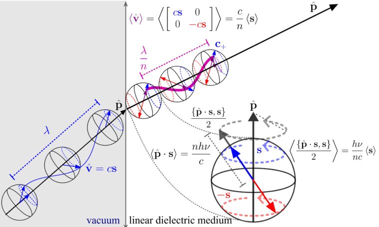 Le spin peut résoudre le puzzle centenaire de l'élan de Light dans la matière